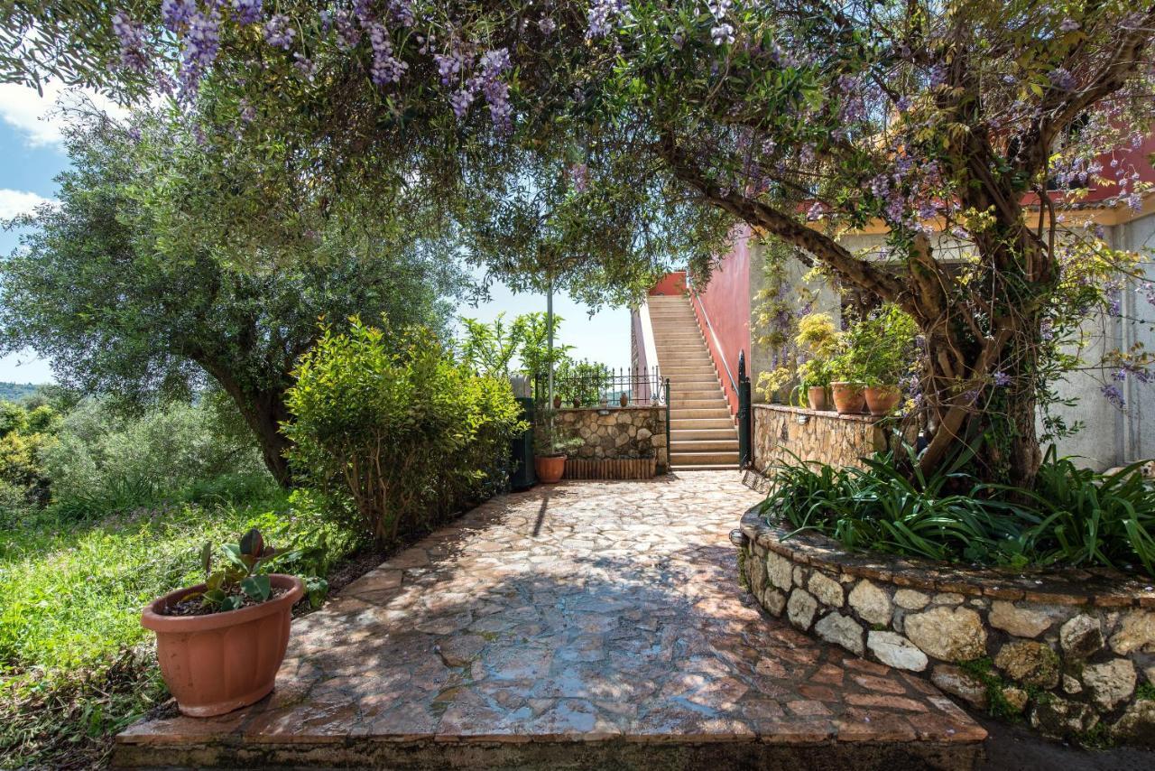 Lily'S House Βίλα Άνω Κορακιάνα Εξωτερικό φωτογραφία